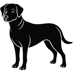 labrador vector sihouette with a white beckground