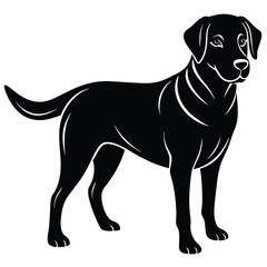 labrador vector sihouette with a white beckground