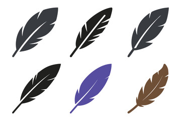Colorful Feather Illustrations Minimalist Nature-Inspired Design