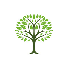 Obraz premium Green Tree with Lush Leaves