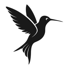 Obraz premium hummingbird vector illustration