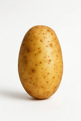 Fresh vegetables with white background 