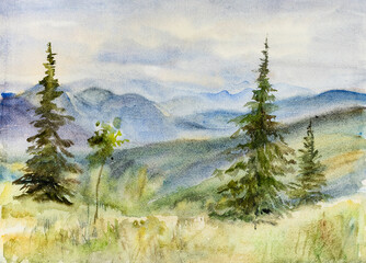 Tall firs near the mountains