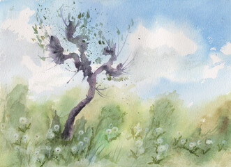 A lonely tree among dandelions