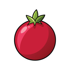 Pomegranate Vector Illustration – Fresh Red Pomegranate Fruit with Seeds in Flat Style for Healthy Food and Juice Branding Design