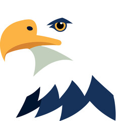 eagle head vector illustration