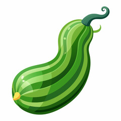 Snake Gourd on White Background