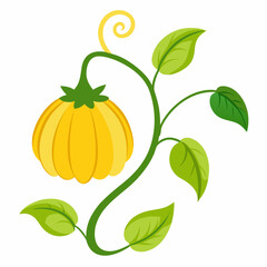 Pumpkin Yellow Flower Vector