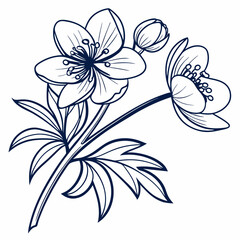 vector illustration of a flower
