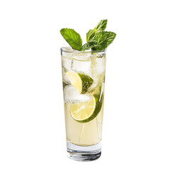 refreshing gin and tonic with lemon slice
