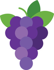 grapes vector illustration