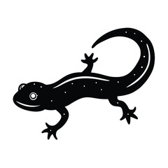 Naklejka premium newt vector