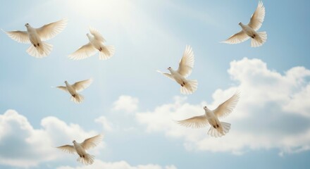 Obraz premium White doves soar in a bright sky