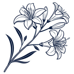 white and black flowers