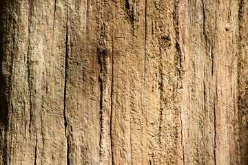 Obraz premium wood texture background