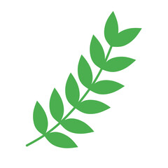 green leaves on white background