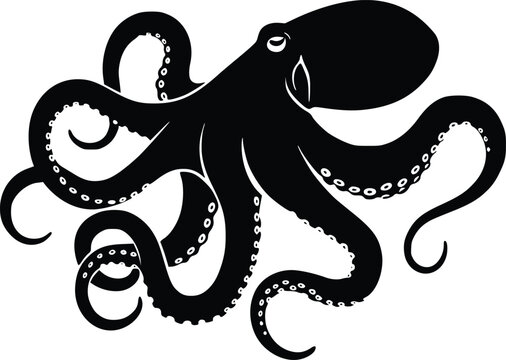Black silhouette of an octopus