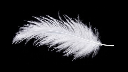 A single white feather against a black background.