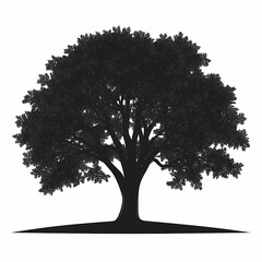 Fototapeta premium Tranquil Silhouette of an Oak Tree in a Picturesque Forest Scene. Embracing Nature's Serenity and Sustainability