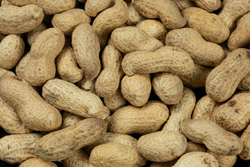 Whole Raw Peanuts in Shell Close-Up