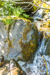 Tranquil Carpathian Mountain Stream: Nature's Serenity