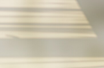 Leaf shadow and light on wall grey background. Nature tropical leaves plant tree branch shade sunshine . Sunlight on white wall texture for background wallpaper, shadows overlay effect foliage mockup