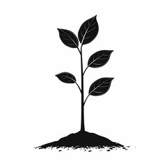 Black Silhouette Seedling. Nature's Eco-Friendly Symbol for Springtime Growth and Reforestation