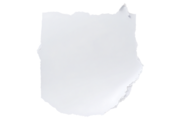 Torn White Paper Detail on White Background