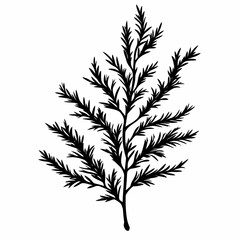 Fototapeta premium Botanical Leaf Silhouette. Rustic Nature Illustration with Organic Design for Eco-Friendly Decor