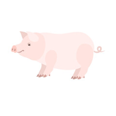 豚。フラットなベクターイラスト。
Pig. Flat vector illustration.