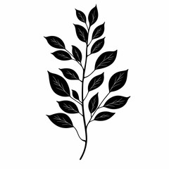 Black and White Botanical Illustration of Green Leaves Branch for Rustic Farmhouse Style Home Decor and Eco-Friendly Nature Art