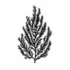 Fototapeta premium Botanical Illustration of Leafy Branch. Elegant, Eco-Friendly Vector Silhouette for Rustic Decor