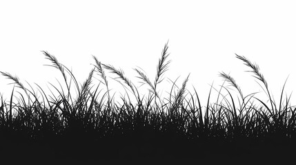Silhouette of Tall Grass Blades in the Wind. A Serene Nature and Wildlife Landscape
