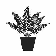 Enhancing Home Decor with Stylish Indoor Ferns. Potted Plant Beauty for Eco-Friendly Harmony