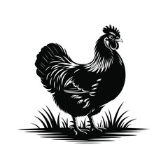 Hen Silhouette Vector illustrator