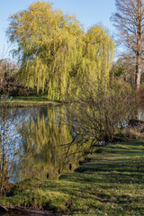 In den Berkelauen bei Gescher im Münsterland