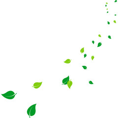 Flying Leaves Illustration