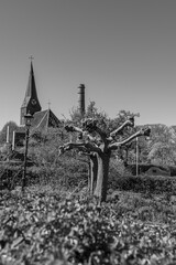 Frühling in Bredevoort
