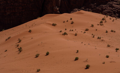 Striking Red Sand Dunes in Jordan's Largest Wadi – The Majestic Wadi Rum, a River Valley Known as...