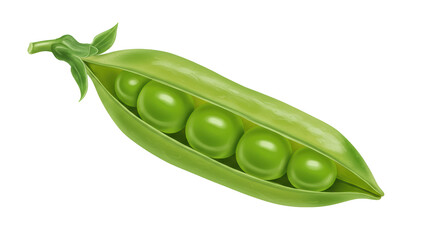 Isolated Green Peas in Pod