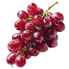 Fototapeta premium Red Grape Bunch with Water Droplets