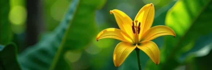 Close-up vibrant banana flower amidst green foliage , background, growth