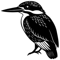 Kingfisher bird silhouette art vector illustration 