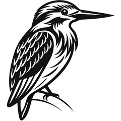 Kingfisher bird silhouette art vector illustration 