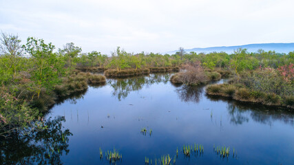 Karacabey Longoz in Bursa. Magnificent view of Longoz with the Marmara Sea. Aerial view with drone. Bursa, Turkey.
