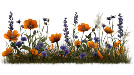 PNG of A vibrant mix of orange and purple flowers creates a cheerful garden scene filled with color and life.