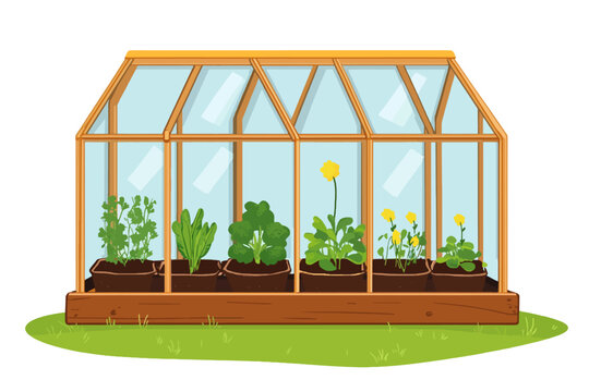 greenhouse with plants growing in garden clip art preview