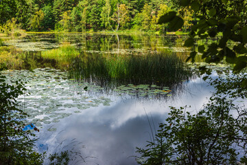 Tranquil lake landscape in Sweden reflecting greenery and sky during a sunny day