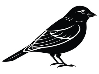Black vector illustration of a canary silhouette, a wild bird on a tree branch