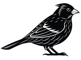 Fototapeta premium Black canary vector illustration, a wild animal bird silhouette on white